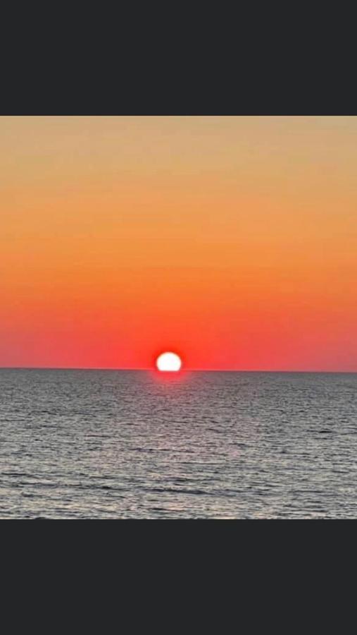Comodo Mini Appartamento Cinisi Bagian luar foto